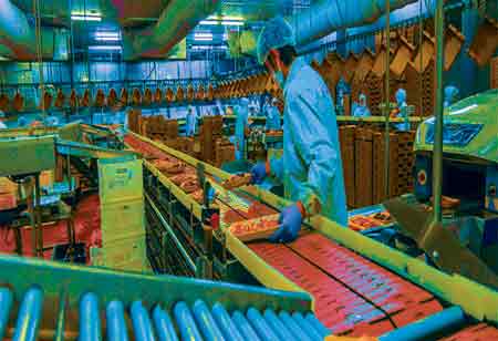 What Makes The Perfect Loan Management Software?